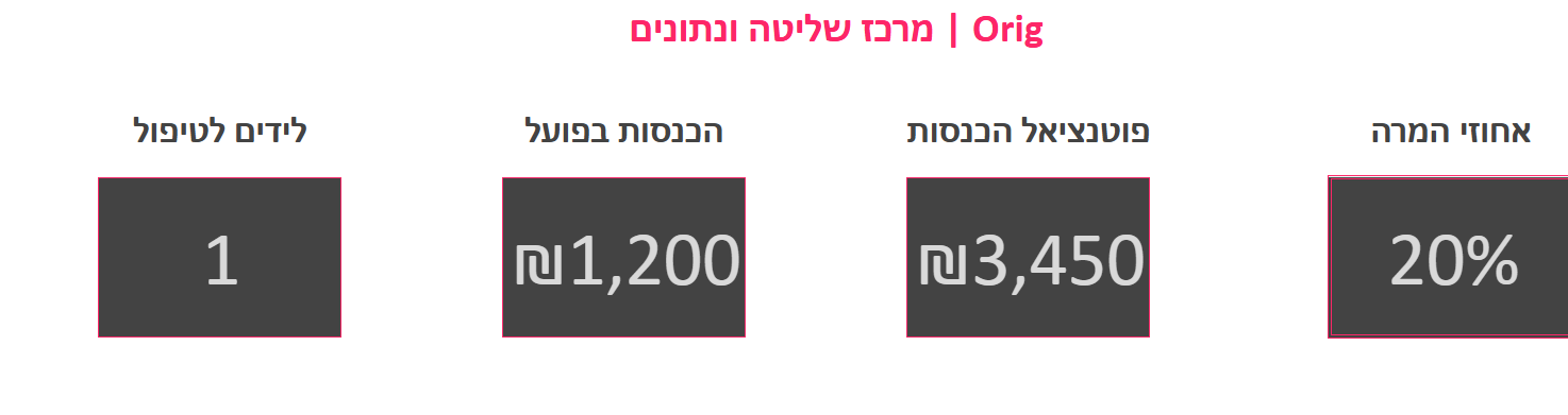 צילום מסך - דשבורד עסקי עם לידים, הכנסות ואחוזי המרה